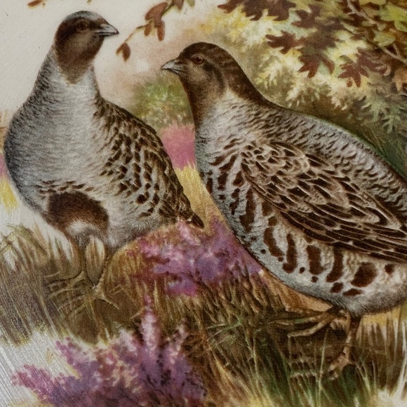 Vintage Lord Nelson Pottery Quails ceramic plate - Picture 8 of 15
